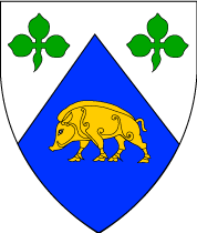 Arms Image